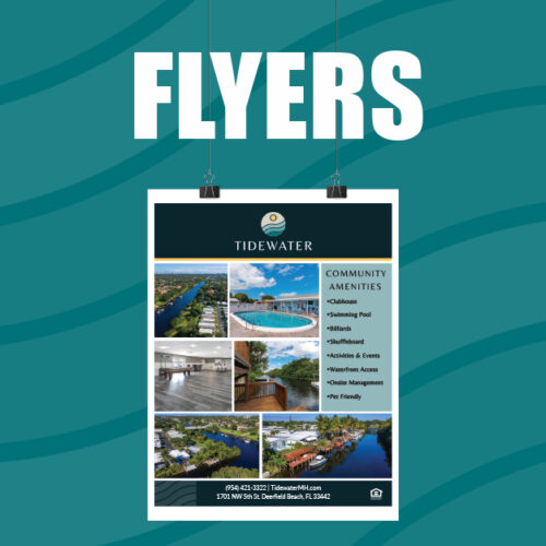 Flyers Property Marketing Dashboard